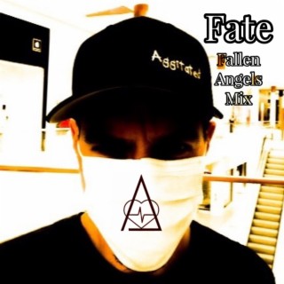 FATE The Fallen Angel Mixes