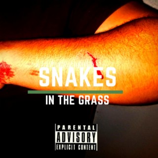 Snakes in the Grass