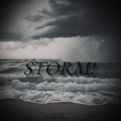 STORM! | Boomplay Music