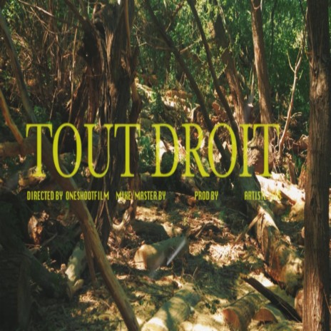 Tout droit | Boomplay Music