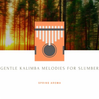 Gentle Kalimba Melodies for Slumber