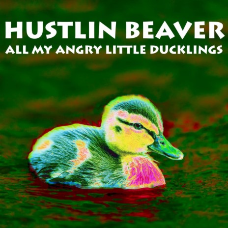 All My Angry Little Ducklings | Boomplay Music