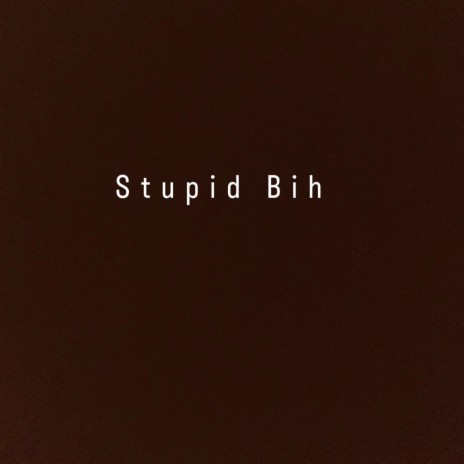 Stupid Bih | Boomplay Music