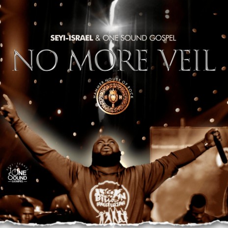 No More Veil | Boomplay Music