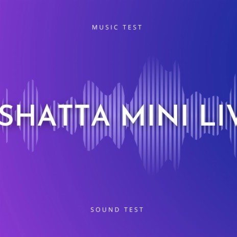 Shatta Mini Live Recap (Radio Edit) | Boomplay Music
