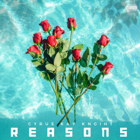 Reasons