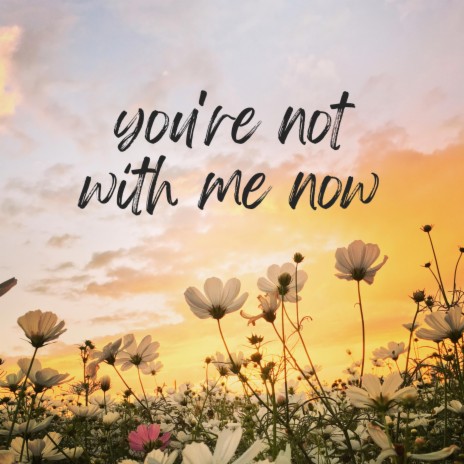 you're not with me now | Boomplay Music