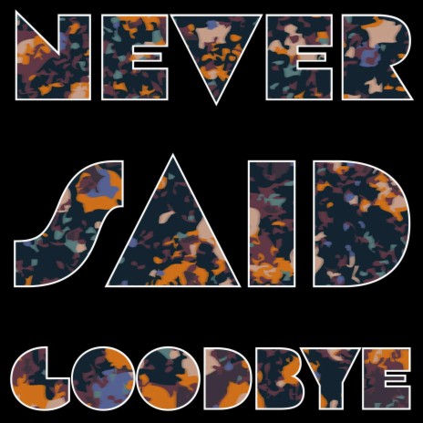 Never Said Goodbye | Boomplay Music