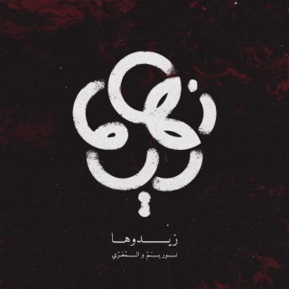 زيدوها ft. Almuarri lyrics | Boomplay Music