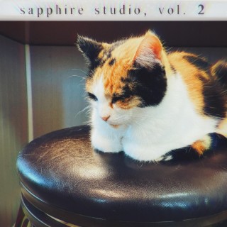 Sapphire Studio, Vol. 2