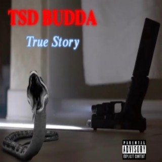 TSDBudda