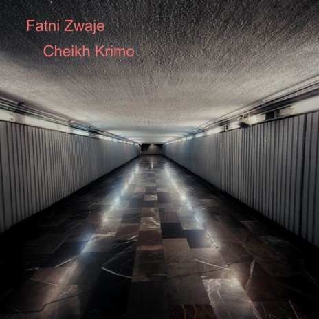 Fatni Zwaje | Boomplay Music