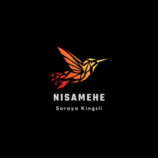 Nisamehe