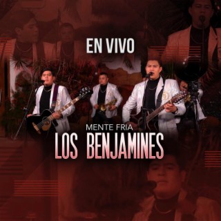 Los Benjamines (En vivo)