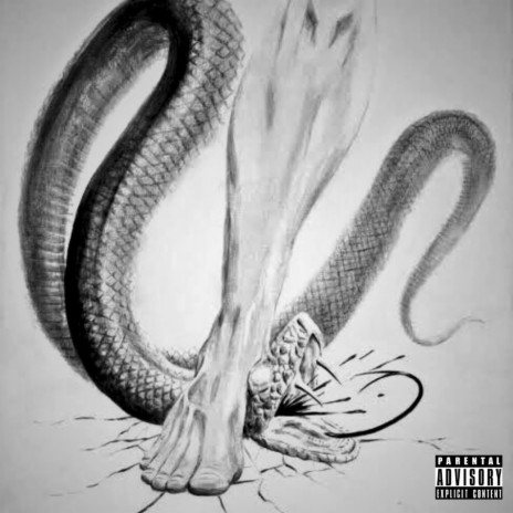 The Snakes (Watch Out) ft. Panamaniakz