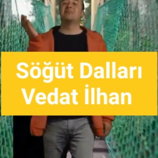 Söğüt Dalları