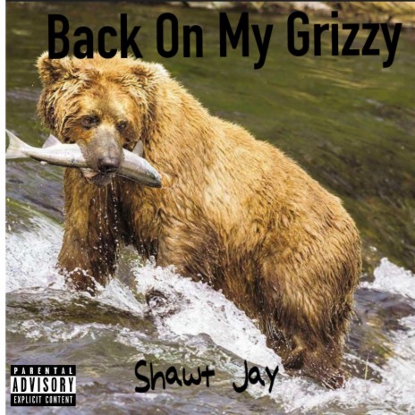 Back On My Grizzy | Boomplay Music