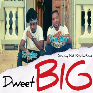 Dweet Big