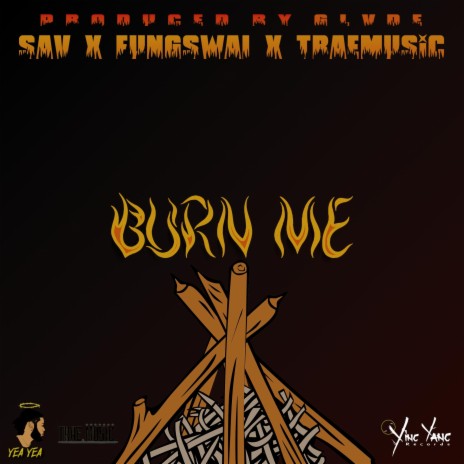 Burn Me ft. Fung Swai & Trae | Boomplay Music