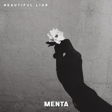 Beautiful Liar | Boomplay Music