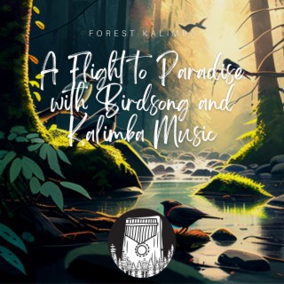 A Flight to Paradise with Birdsong and Kalimba Music