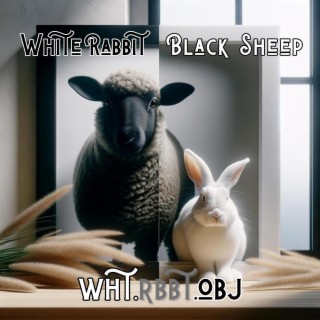 White Rabbit Black Sheep lyrics | Boomplay Music