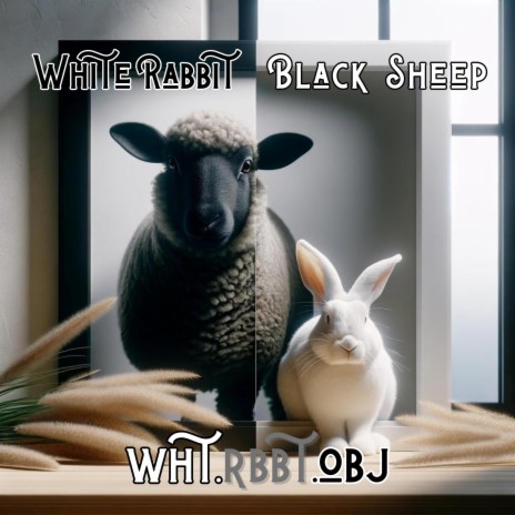 White Rabbit Black Sheep | Boomplay Music