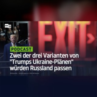 Zwei der drei Varianten von "Trumps Ukraine-Plänen" würden Russland passen