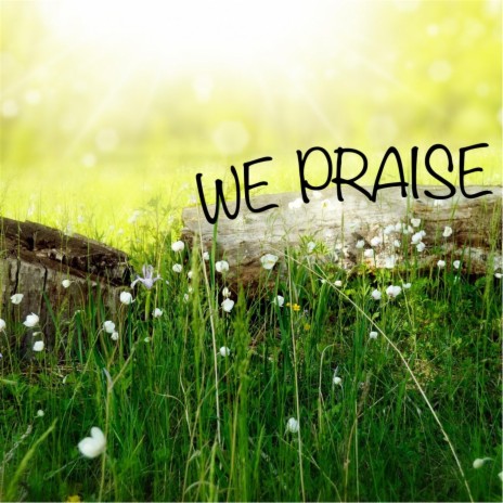 We Praise | Boomplay Music