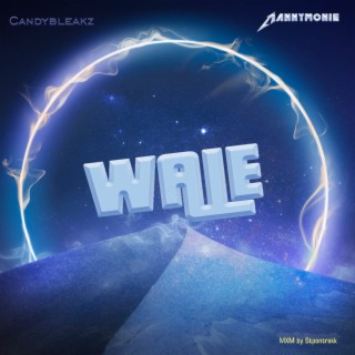 Wale (Cover) ft. Candy Bleakz lyrics | Boomplay Music