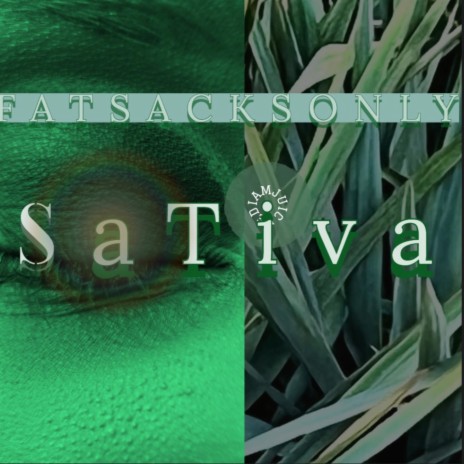 SaTiva | Boomplay Music