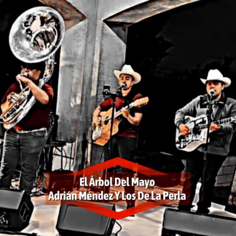 El Arbol Del Mayo (En vivo) | Boomplay Music