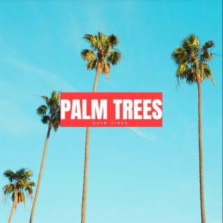 Palm Trees