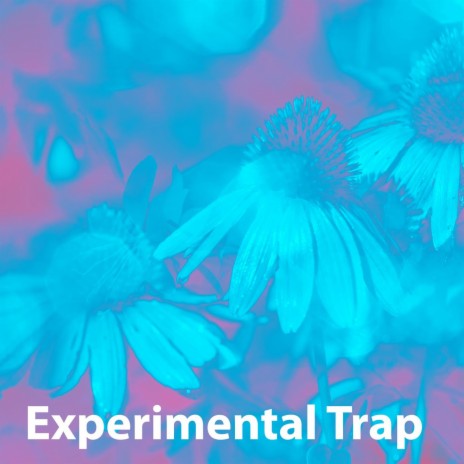 Experimental Trap | Boomplay Music