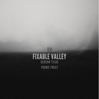 Fixable Vally