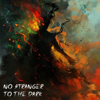 No Stranger to the Dark lyrics | Boomplay Music