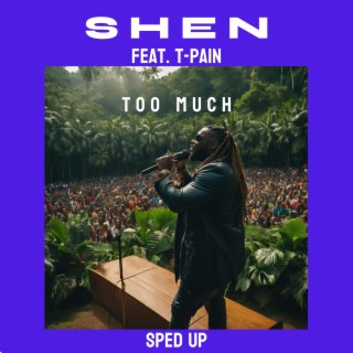 Too Much (feat. T-Pain) (Sped Up)