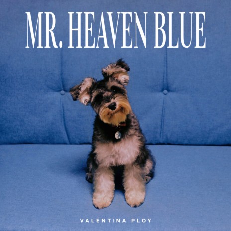 Mr. Heaven Blue | Boomplay Music