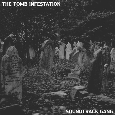 The Tomb Infestation | Boomplay Music