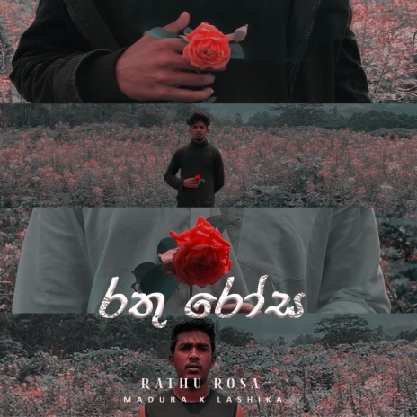 Rathu Rosa ft. Lashika Rammandala
