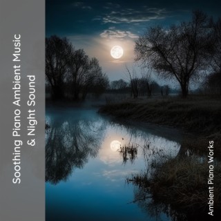 Soothing Piano Ambient Music & Night Sound