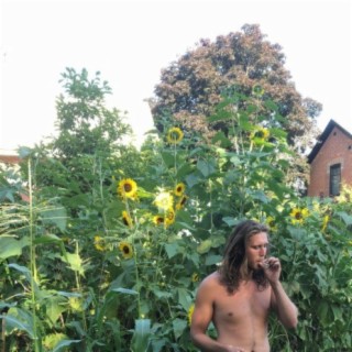 Trapping with the Sunflowers