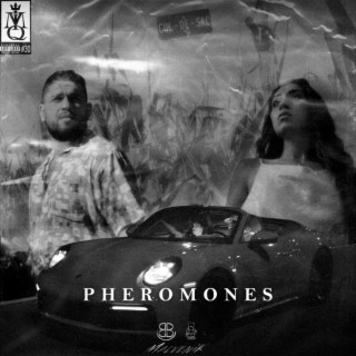 Pheromones ft. Noura lyrics | Boomplay Music