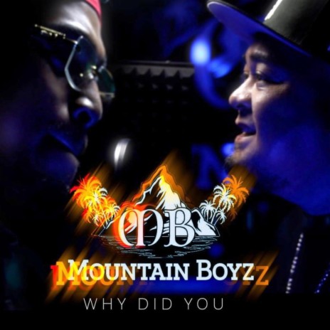 Why Did You | Boomplay Music