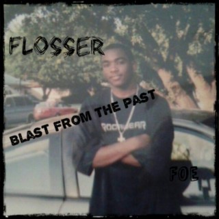 Flosser