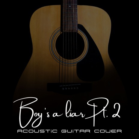 Boy's A Liar Pt. 2 (Acoustic Guitar Cover)