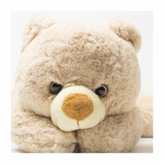 Cuddle up to Your Teddy Bear