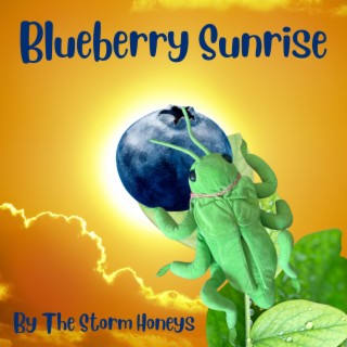 Blueberry Sunrise