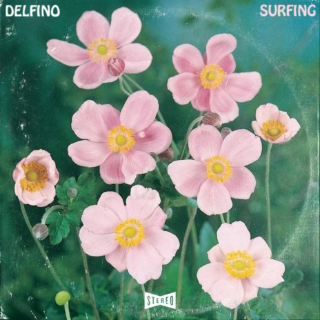 Delfino | Boomplay Music