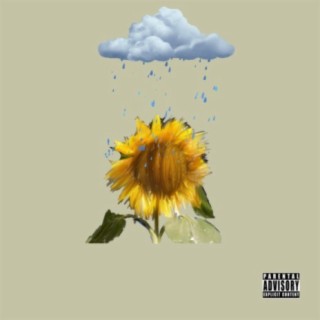 Raining Sunflowers (feat. Hobb)